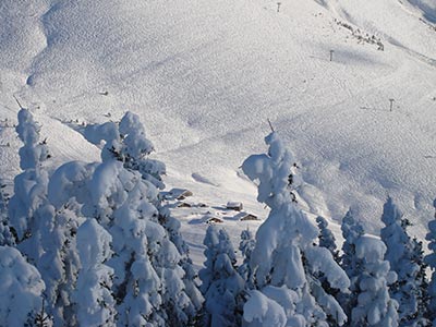 geneva megeve ski instructor booking ski lesson